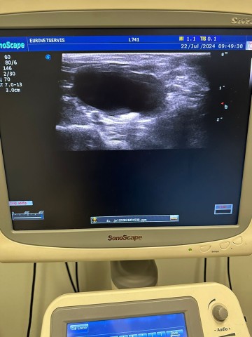 УЗИ аппарат Sonoscape S20 Pro, 2017 г.в. - 700 700 руб.